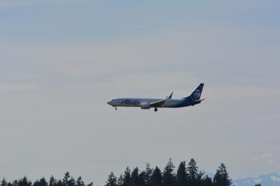Photo of aircraft N251AK operated by Alaska Airlines