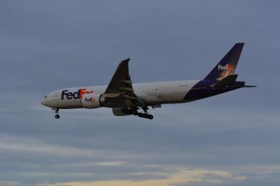 Photo of aircraft N858FD operated by Federal Express (FedEx)
