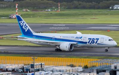 Photo of aircraft JA820A operated by All Nippon Airways