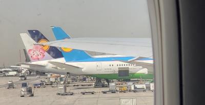 Photo of aircraft UK78705 operated by Uzbekistan Airways