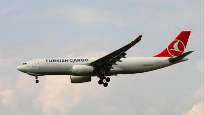 Photo of aircraft TC-JDS operated by Turkish Airlines