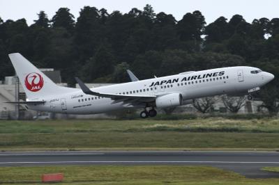 Photo of aircraft JA317J operated by Japan Airlines