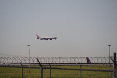 Photo of aircraft VT-ALP operated by Air India