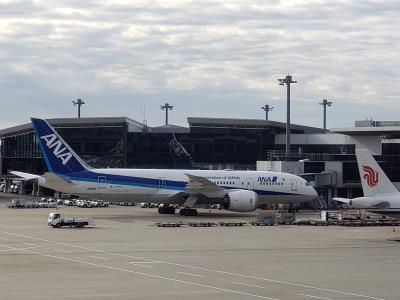 Photo of aircraft JA814A operated by All Nippon Airways
