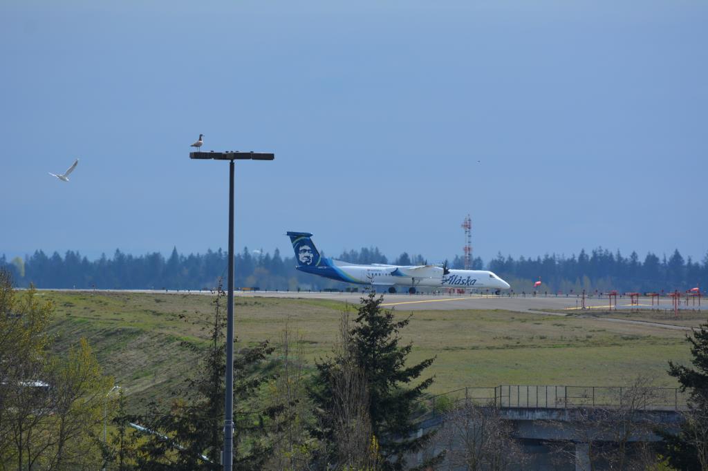 Photo of aircraft N450QX operated by Horizon Air