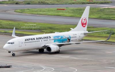 Photo of aircraft JA346J operated by Japan Airlines