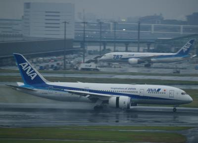 Photo of aircraft JA838A operated by All Nippon Airways