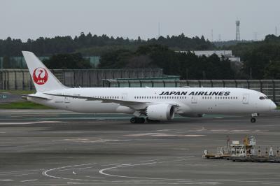 Photo of aircraft JA881J operated by Japan Airlines