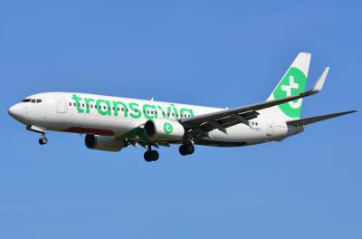 Image of aircraft registration PH-HZD - A 737-8K2(WL) operated by Transavia