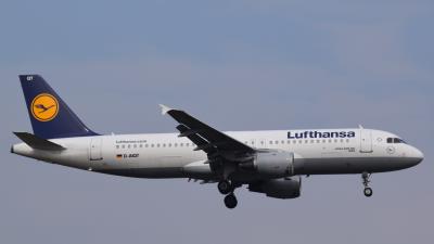 Photo of aircraft D-AIQT operated by Lufthansa