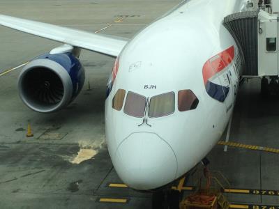 Image of aircraft registration G-ZBJH - A 787-8 Dreamliner operated by British Airways