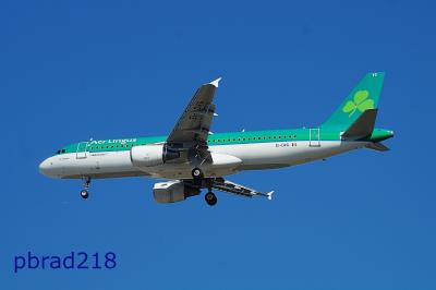 Image of aircraft registration EI-DVG - A A320-214 operated by Aer Lingus