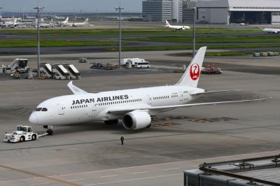 Photo of aircraft JA835J operated by Japan Airlines