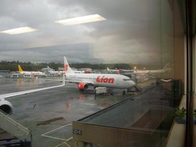 Photo of aircraft PK-LGU operated by Lion Air