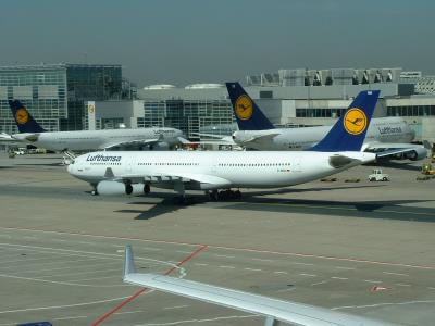 Image of aircraft registration D-AIGA - A A340-311 operated by Lufthansa