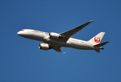 Image of aircraft registration JA838J - A 787-8 Dreamliner operated by Japan Airlines