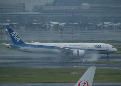 Photo of aircraft JA830A operated by ANA All Nippon Airways