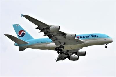 Photo of aircraft HL7627 operated by Korean Air Lines