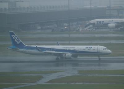 Photo of aircraft JA113A operated by All Nippon Airways