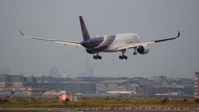 Photo of aircraft HS-THG operated by Thai Airways International