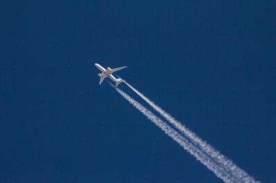 Image of aircraft registration PH-TFK - A 787-8 Dreamliner operated by TUI Airlines Netherlands