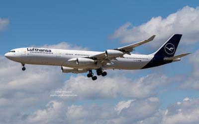 Image of aircraft registration D-AIGM - A A340-313 operated by Lufthansa