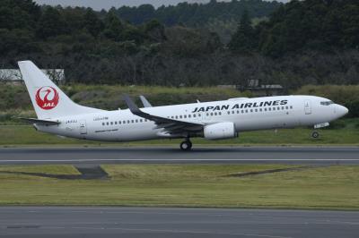 Photo of aircraft JA312J operated by Japan Airlines