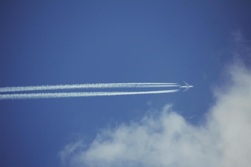 Photo of aircraft TF-AMA operated by Saudi Arabian Airlines