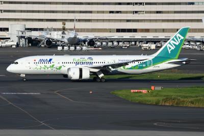 Photo of aircraft JA874A operated by ANA All Nippon Airways