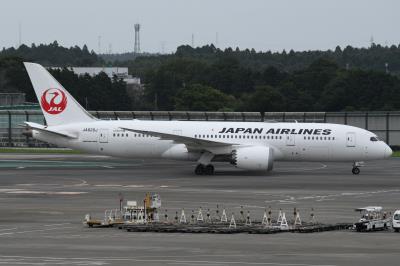 Photo of aircraft JA829J operated by Japan Airlines