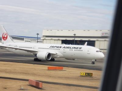 Photo of aircraft JA871J operated by Japan Airlines
