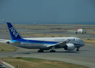 Photo of aircraft JA831A operated by All Nippon Airways
