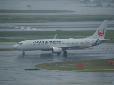 Photo of aircraft JA331J operated by Japan Airlines
