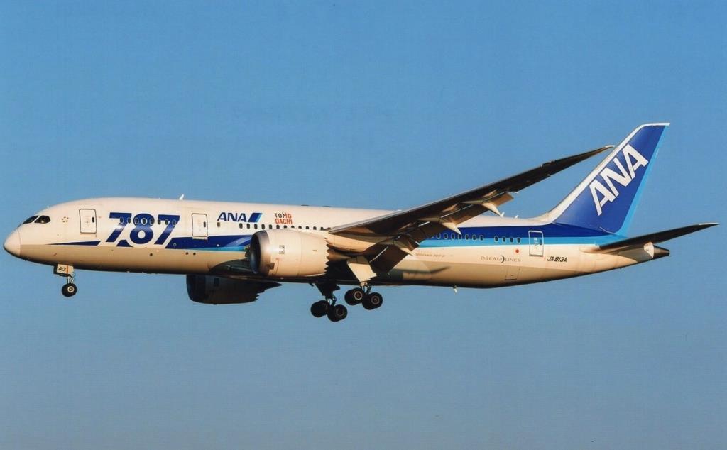 Photo of aircraft JA813A operated by ANA All Nippon Airways
