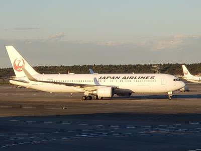 Photo of aircraft JA620J operated by Japan Airlines