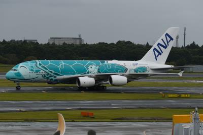 Photo of aircraft JA382A operated by ANA All Nippon Airways