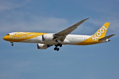 Image of aircraft registration 9V-OJD - A 787-9 Dreamliner operated by Scoot