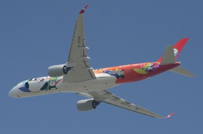 Photo of aircraft B-306N operated by Sichuan Airlines