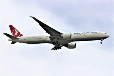 Photo of aircraft TC-JJL operated by Turkish Airlines