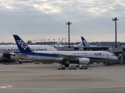 Image of aircraft registration JA829A - A 787-8 Dreamliner operated by All Nippon Airways