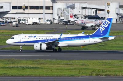 Photo of aircraft JA216A operated by ANA All Nippon Airways