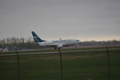 Image of aircraft registration C-GRWS - A 737-76N(WL) operated by Westjet