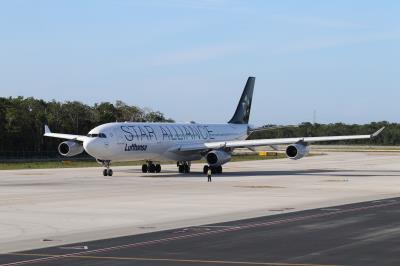 Image of aircraft registration D-AIFE - A A340-313 operated by Lufthansa