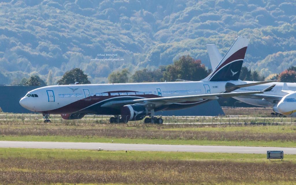 Photo of aircraft EI-EWG operated by Pembroke Leasing