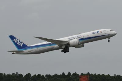 Photo of aircraft JA890A operated by ANA All Nippon Airways