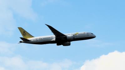 Photo of aircraft V8-DLC operated by Royal Brunei Airlines