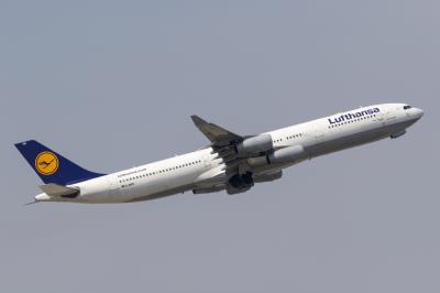 Image of aircraft registration D-AIFD - A A340-313 operated by Lufthansa