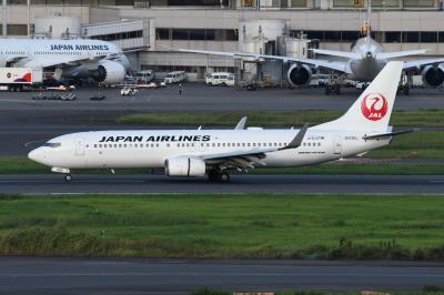 Photo of aircraft JA338J operated by Japan Airlines