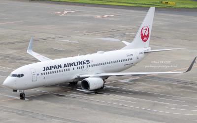 Photo of aircraft JA308J operated by Japan Airlines