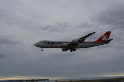 Photo of aircraft LX-VCK operated by Cargolux Airlines International
